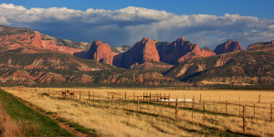 Setting your White Balance to "Cloudy" on sunny day yields warm colors