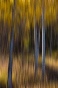 Use a slow shutter speed and move the camera to create abstract images