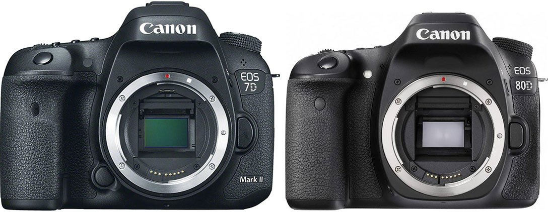 Canon EOS 7D mkII vs Canon EOS 80D - davemclelland.com